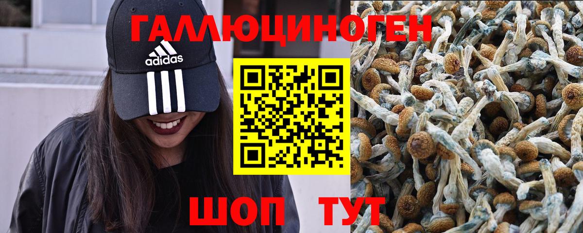 Псилоцибиновые грибы мицелий Соликамск